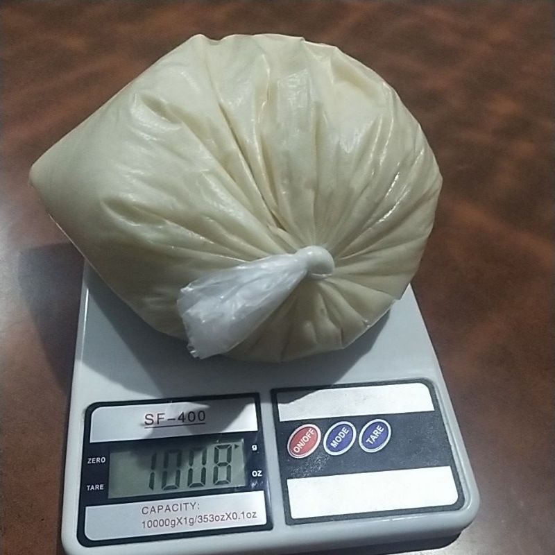 bibit Erna kiloan / bibit Erna Malaysia original / bibit pemutih