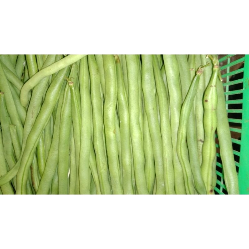 

buncis 1kg, Rp, 20,000