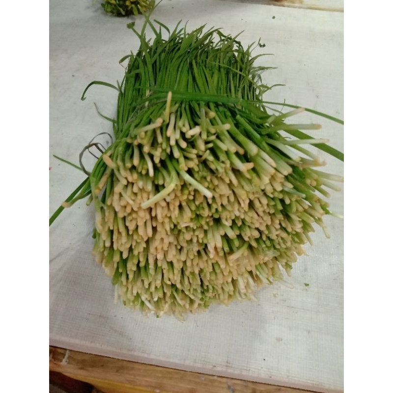 daun kucai 1kg , Rp. 20.000