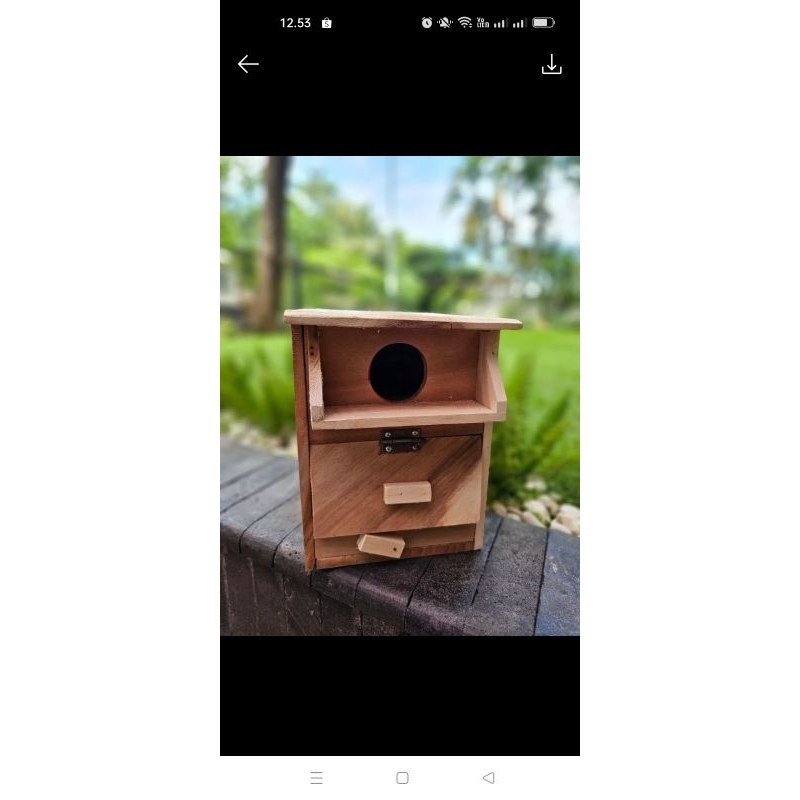 Glodok burung parkit dan lovebird model kotak