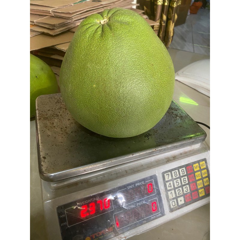 

jeruk pamelo jumbo 1,6kg-1,9kg