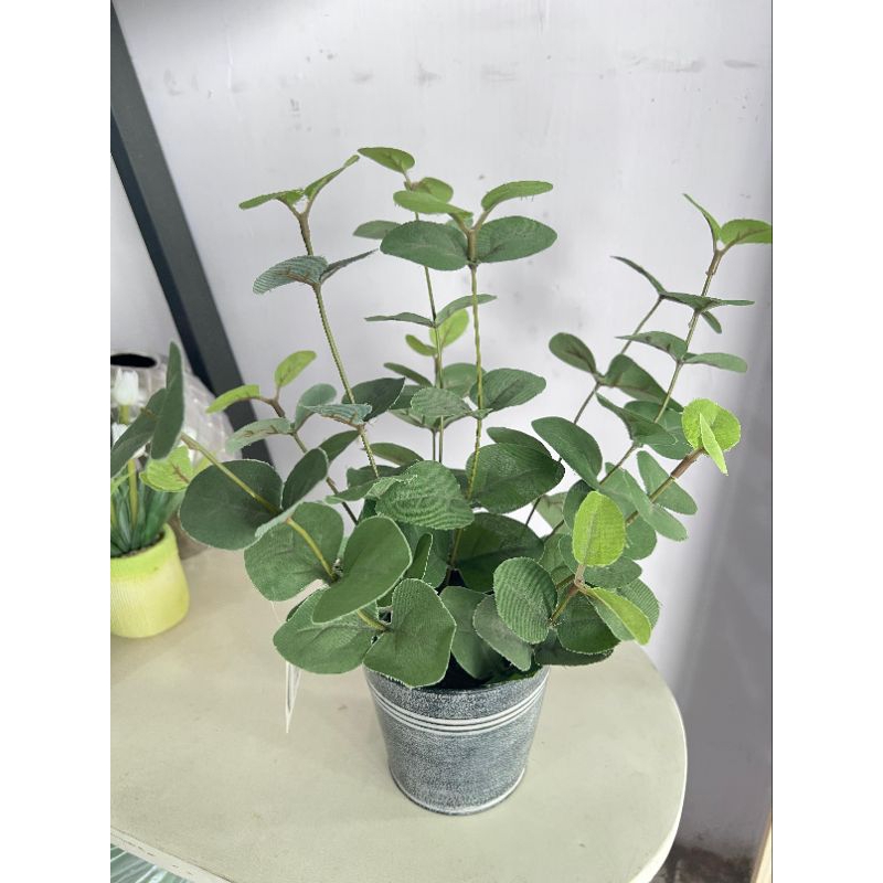 INFORMA TANAMAN HIAS//TANAMAN ARTIFICIAL//TANAMAN BUNGA