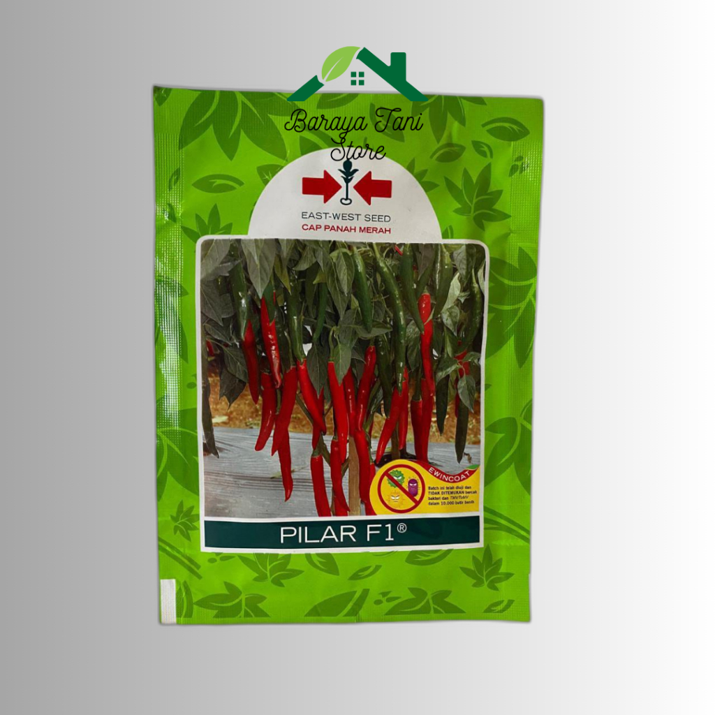 BENIH CABE BESAR PILAR F1 1500 BIJI CAP PANAH MERAH