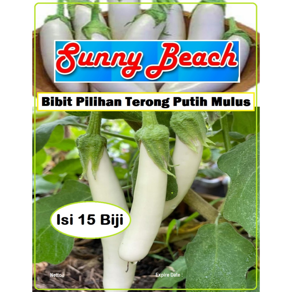 Bibit Pilihan Terong Putih Mulus | Biji Benih Terong Putih Mulus