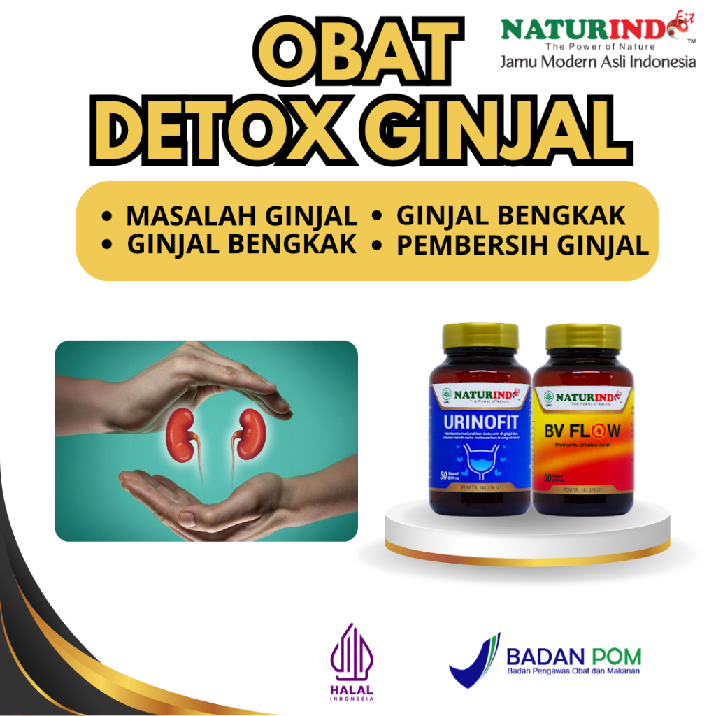 Obat Detoks Ginjal Pembersih Ginjal Bengkak Cuci Darah Penurun Kreatinin Herbal