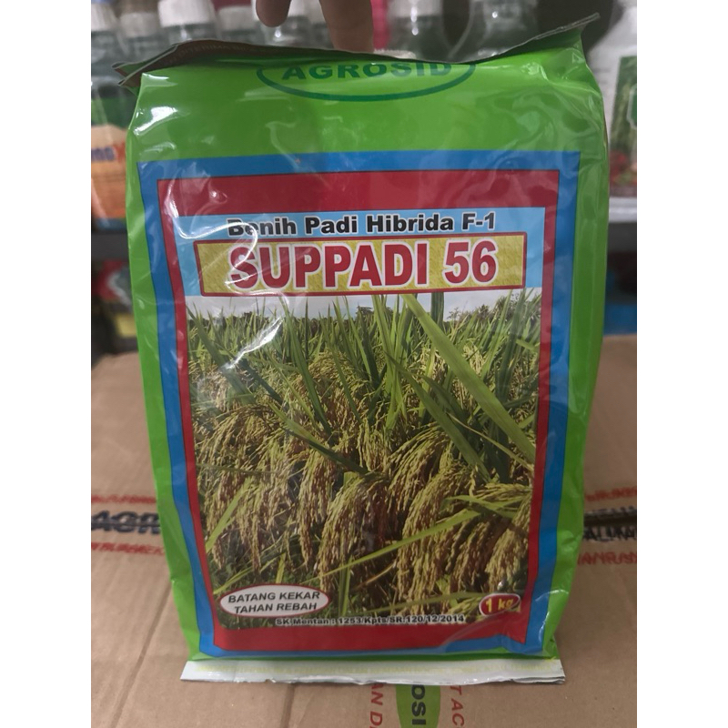 BENIH PADI HIBRIDA - SUPADI 56 berat 1kg