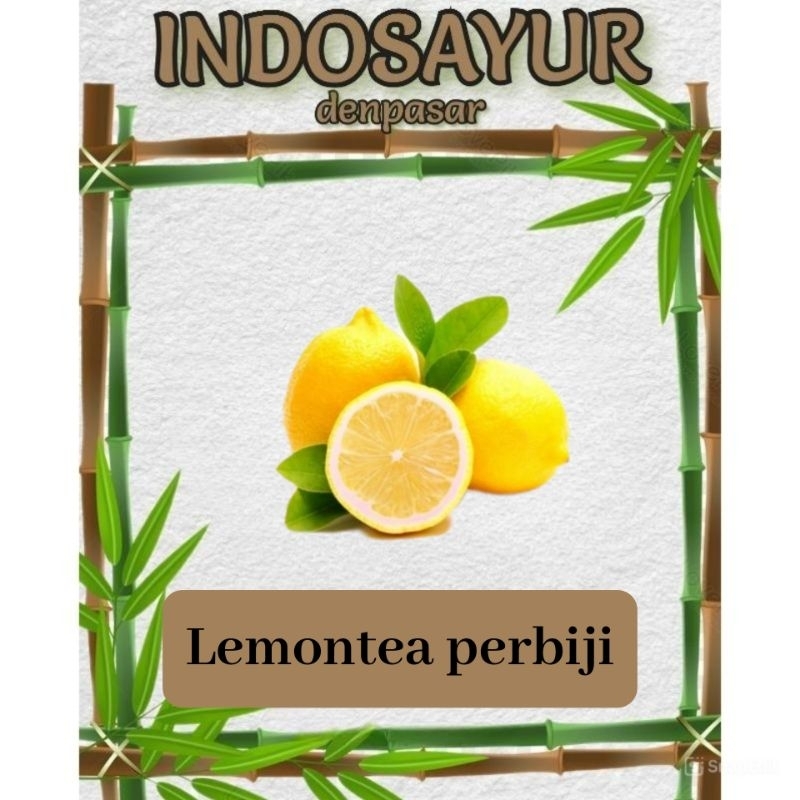 

Buah Lemon import _ INDOSAYUR