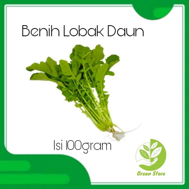 Benih Lobak Lalap/Lobak Daun/ Kemasan 100gram