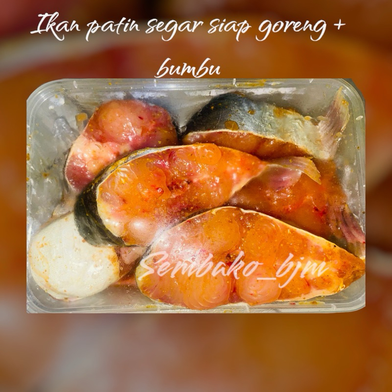 

ikan patin segar