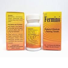 FERMINO Kapsul Ekstrak Cacing Tanah
