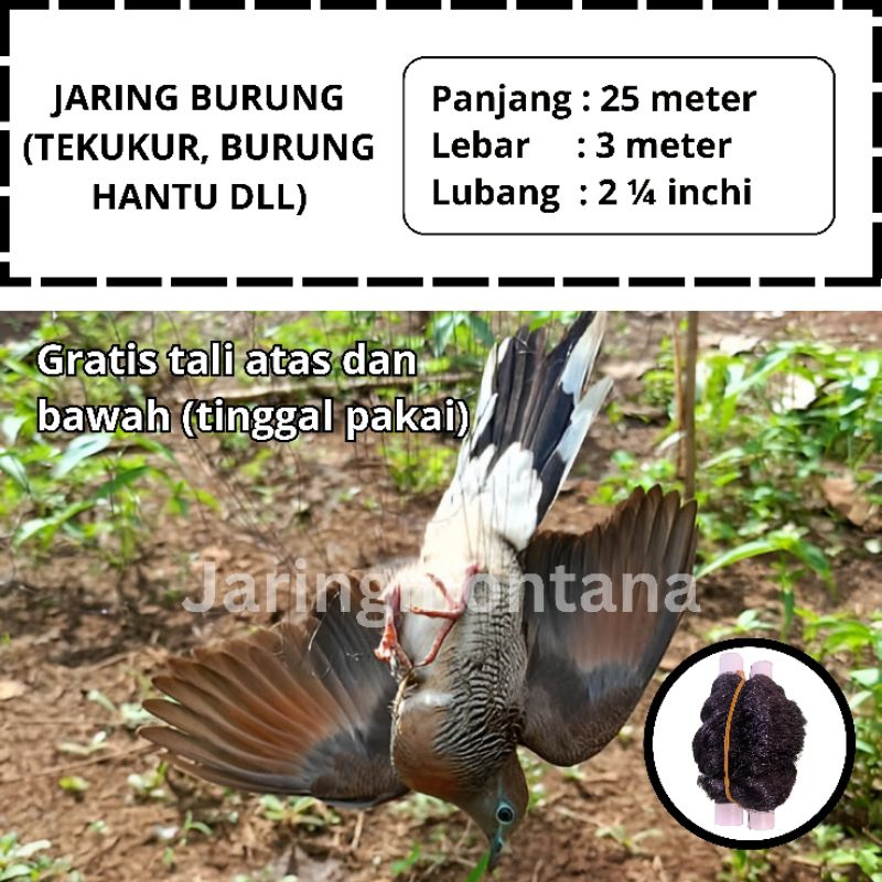 PIKAT JEBAKAN BURUNG TEKUKUR JARING BURUNG TEKUKUR JARING BURUNG SIAP PAKAI JARING MONTANA