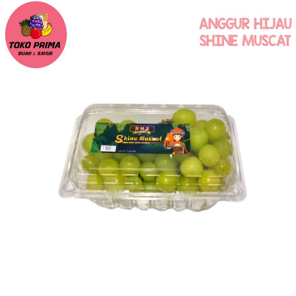 

Buah Anggur Hijau Muscat Per Pack