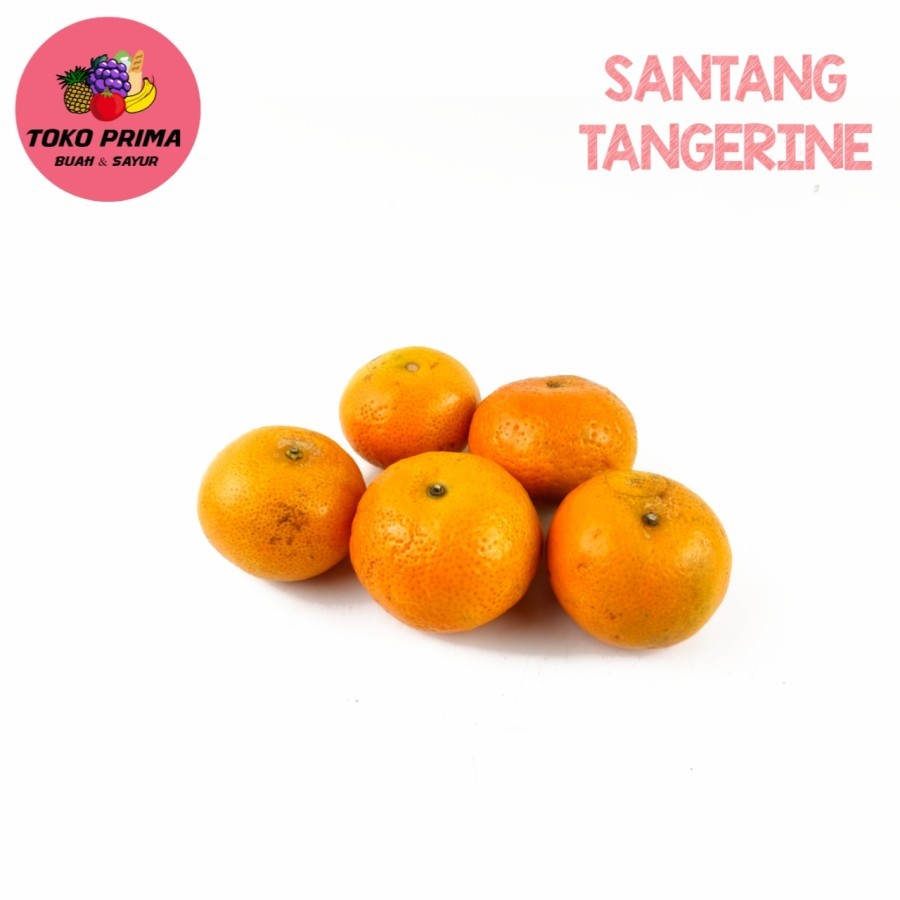 

Buah Jeruk Santang Tangerin