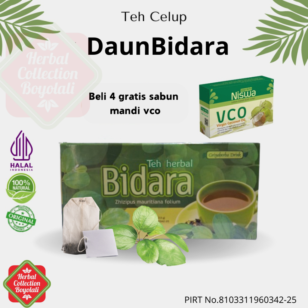 

Teh bidara herbal griya herba isi 20 kantong teh celup membantu daya tahan tubuh halal