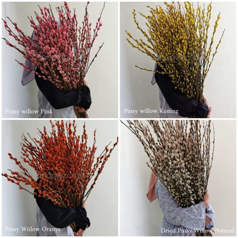 Bunga Imlek Dried Pussy Willow