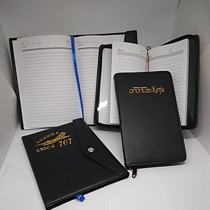 

Agenda Erica 707 dan Agenda Prioritas Kerja