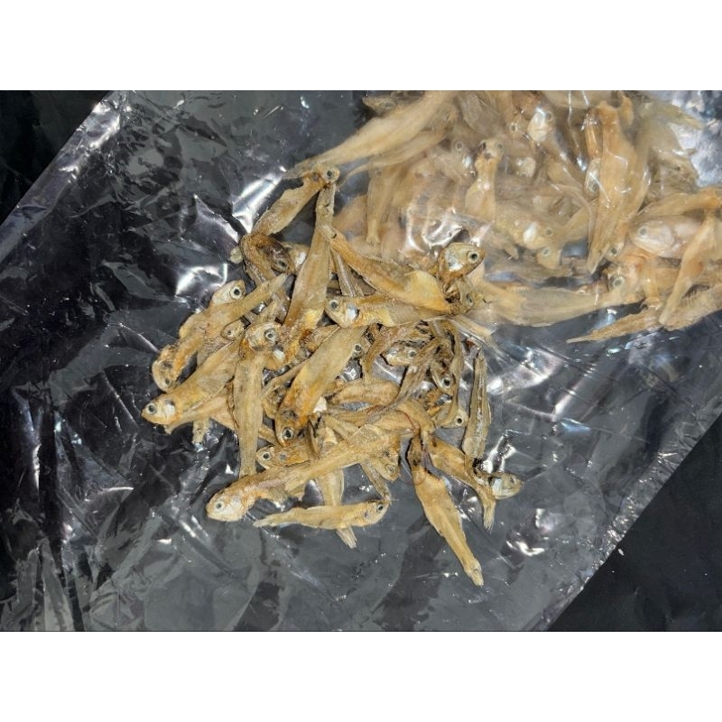 

Ikan Teri Bilis