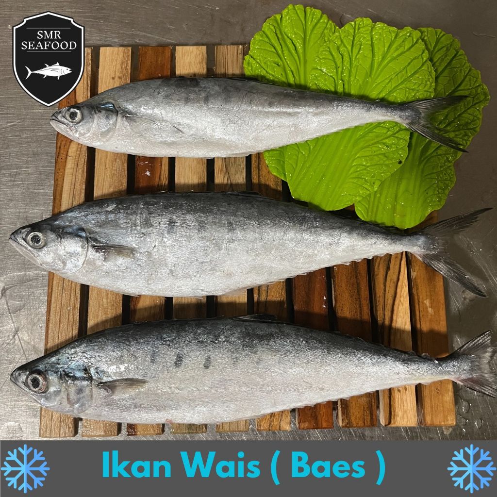 

Ikan Wais / Talang-Talang | Frozen Beku Utuh 1KG / 500gr