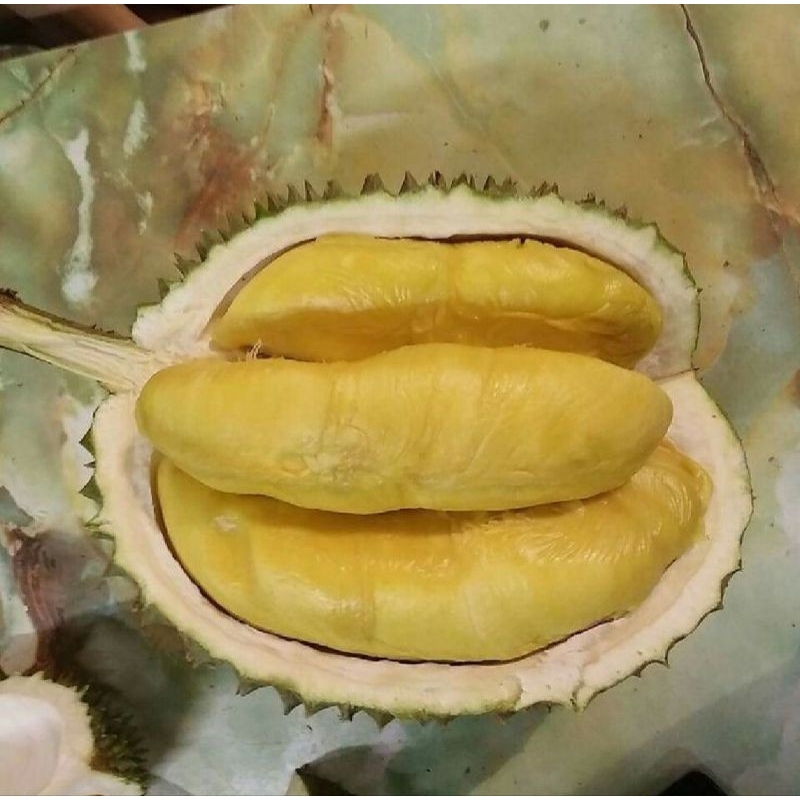 

TERLARI!! PROMO!! Durian Montong Medan Asli