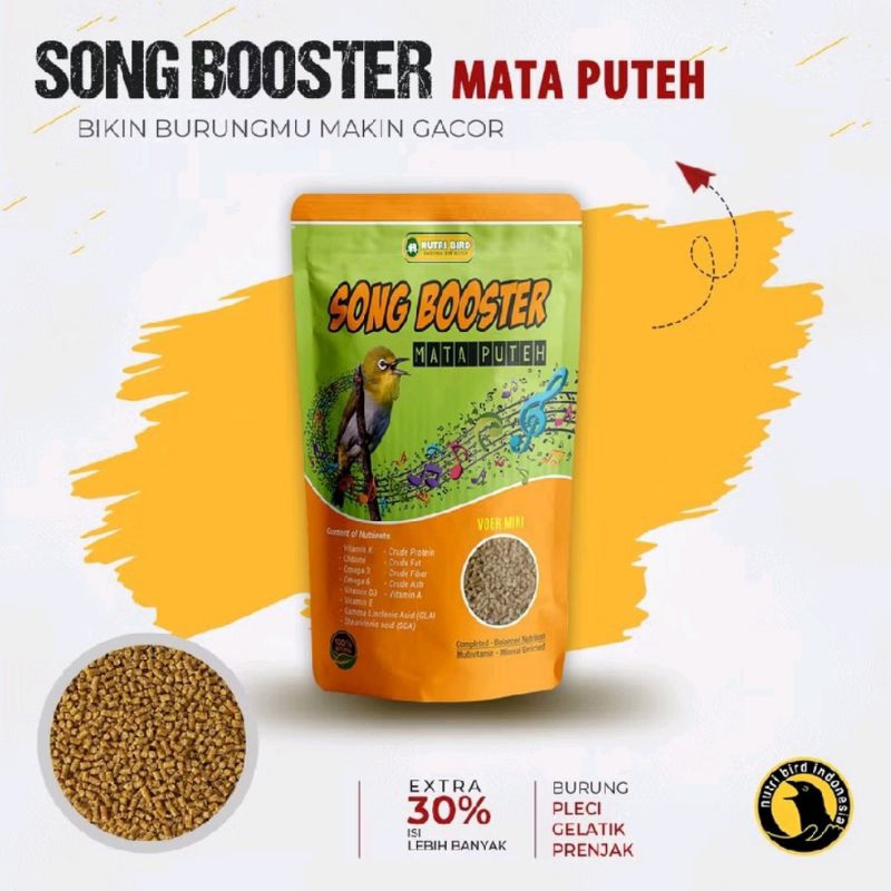 SONG BOOSTER PLECI PAKAN PENGGACOR BURUNG PLECI PAKAN GACOR INSTAN