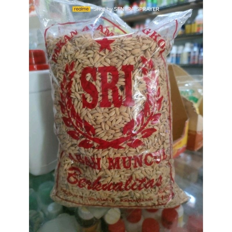 Pakan Ayam Bangkok / burung merpati Gabah Bulat Gabah Muncul Kemasan 1 kg