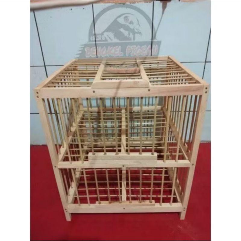 kandang burung merpati 2 pintu - dondang merpati 2 pintu