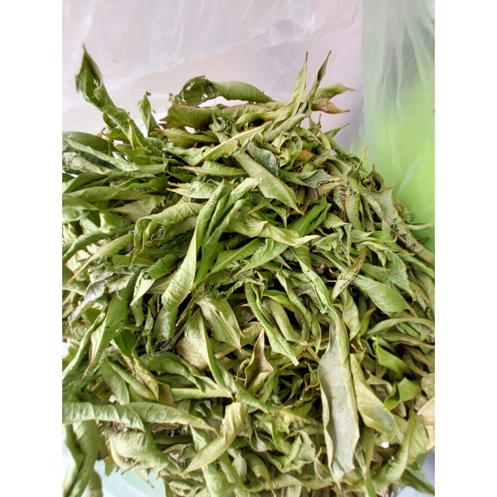

1000 gram daun mahkota dewa kering