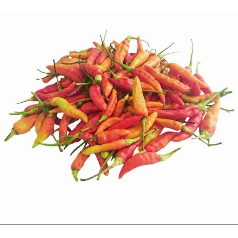 

cabe 500gr pasar samarinda