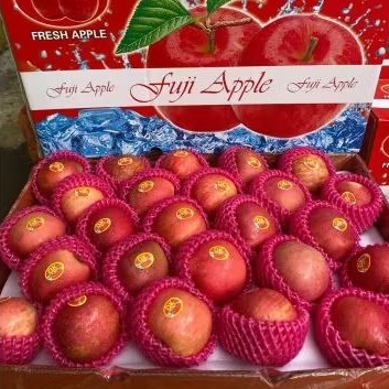 

Buah Apel Fuji Bingkuai 125 Jual Per 1 Dus Karton