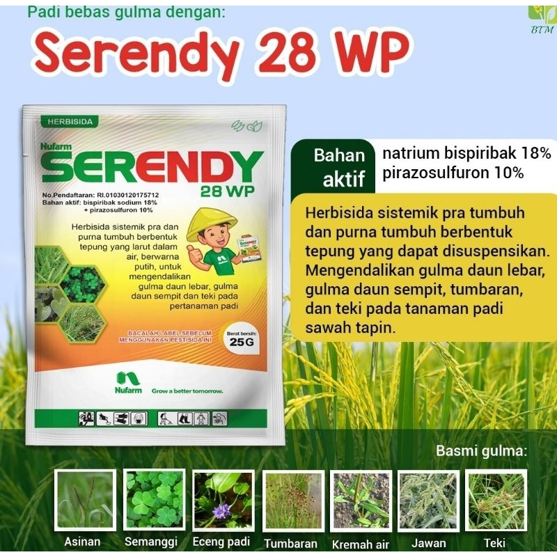 Serendy 28 WP Obat Rumput Padi Serendy 28WP 25 gr Pembasmi Gulma