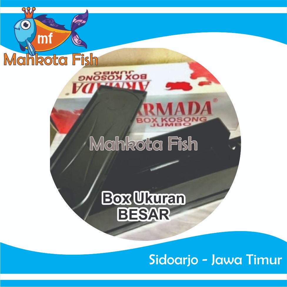 Box Filter BESAR | Box Kosong BESAR Filter Aquarium