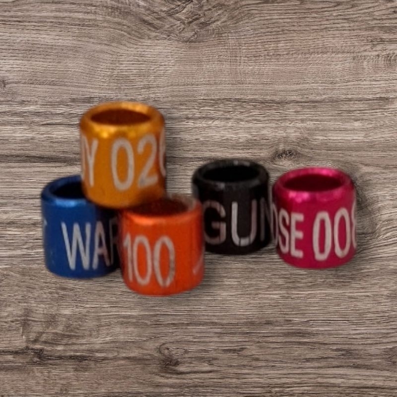 Ring Burung Kenari, Prenjak