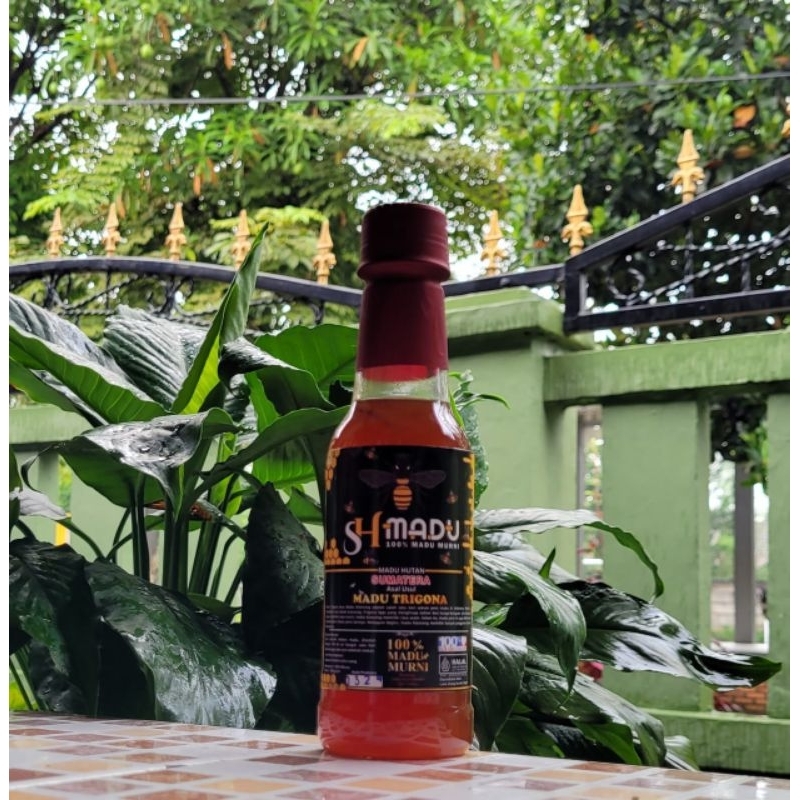 

Madu Trigona/Madu Kelulut/Madu Klanceng 300 Gr