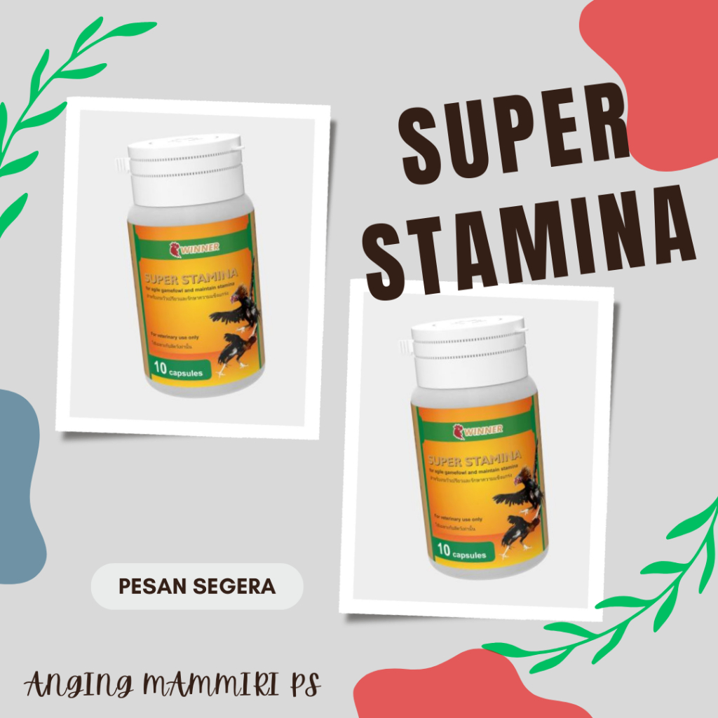 SUPER STAMINA (10 KAPSUL - Menjaga stamina ayam)