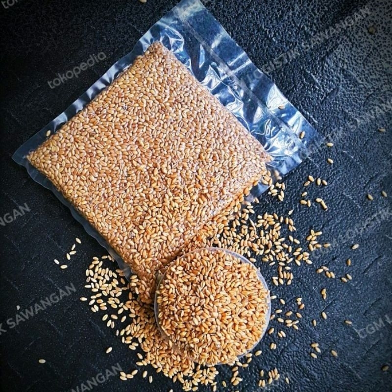 

GANDUM UTUH IMPORT - 5/10/25 KG - WHOLE WHEAT - SUPER GRADE - 5 KG