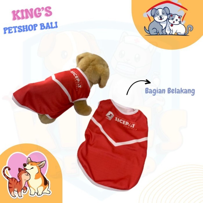 BAJU HEWAN / T-SHIRT SICEPAT