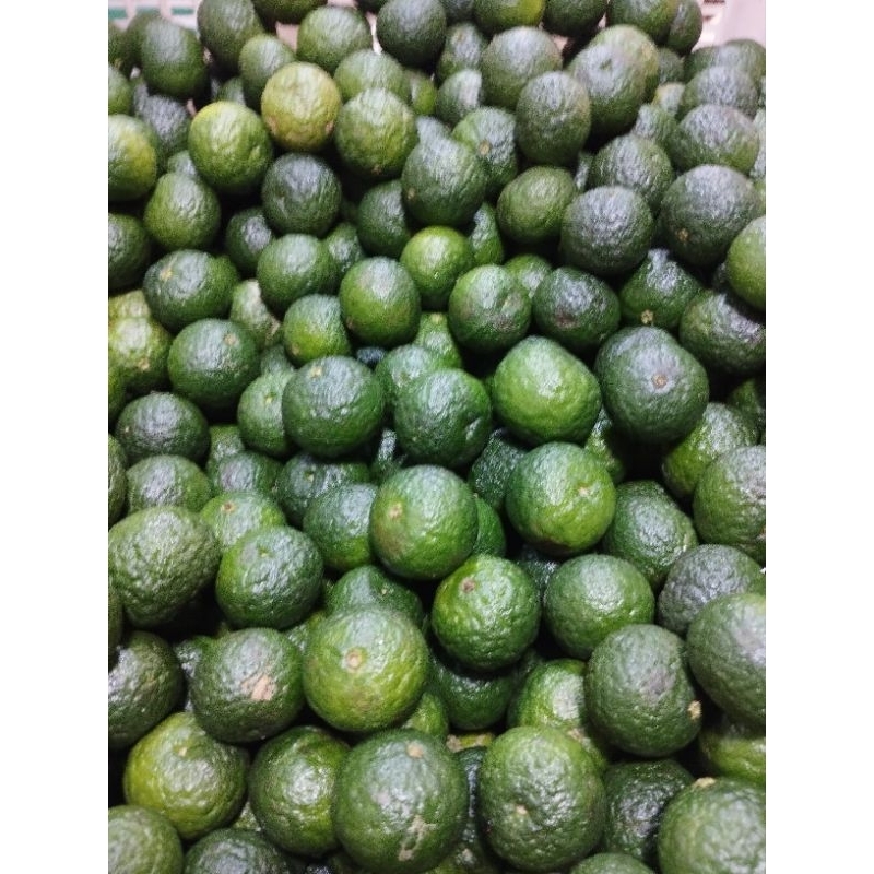

jeruk kunci