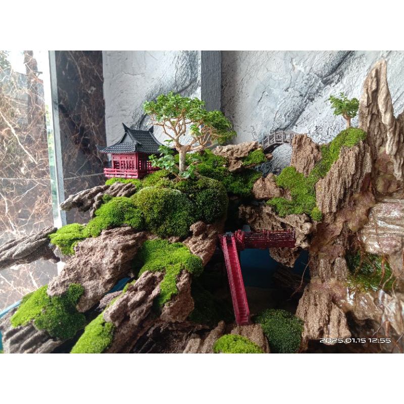 paludarium 01 #aquascape #paludarium #vivarium #terrarium