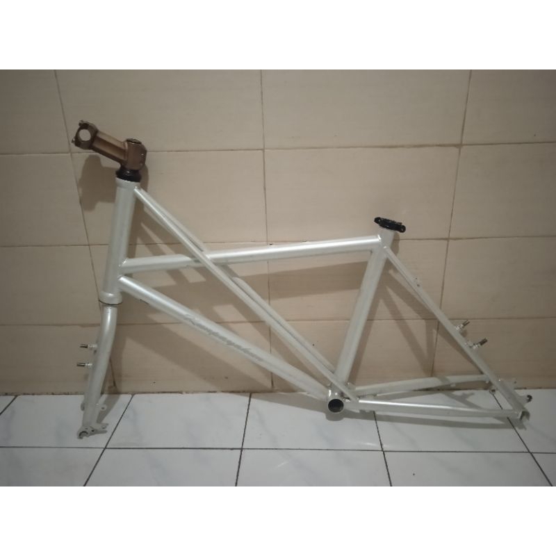 frameset costum minivelo tyrell