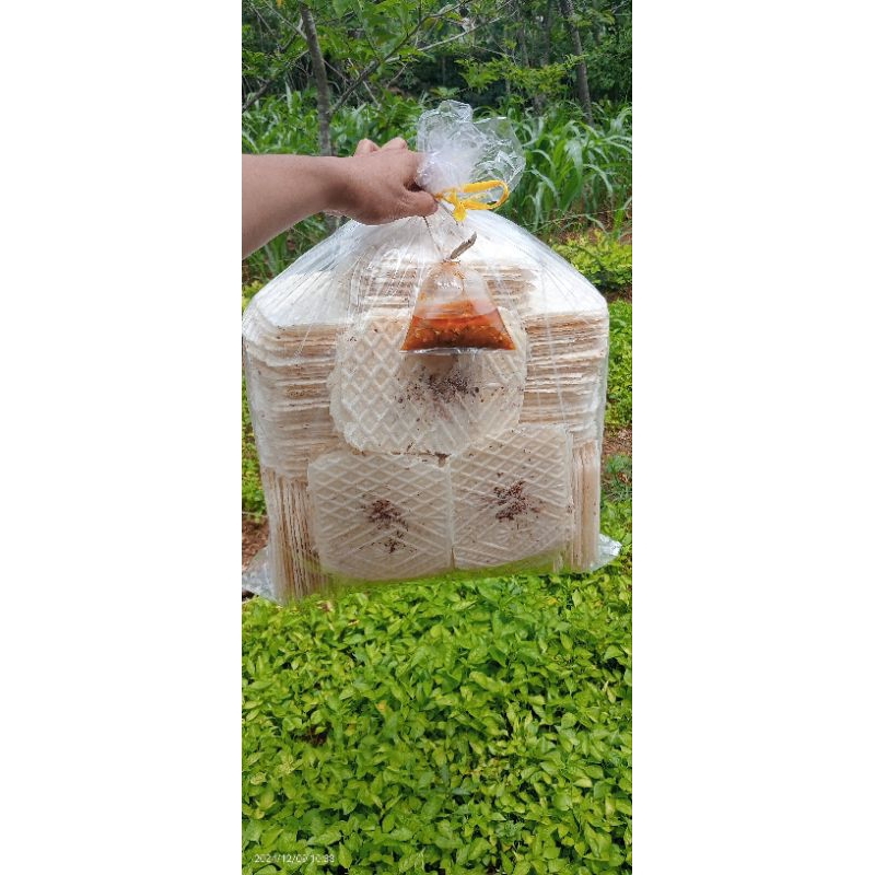 

Gambir ikan khas Madura free sambel(kemasan 1ball)