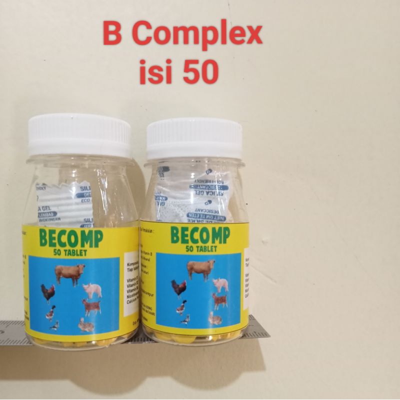 vitamin B Complex vitamin untuk hewan piaraan vitamin B komplek