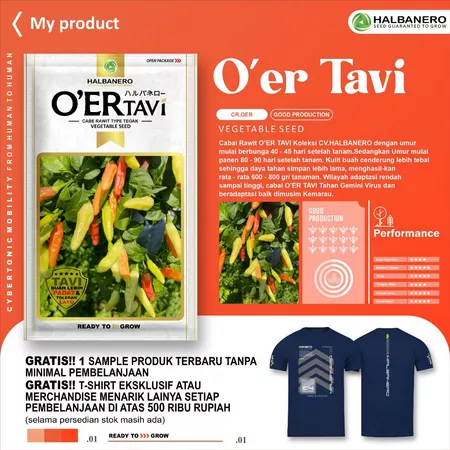 

BENIH CABAI RAWIT OER TAVI - HALBANERO