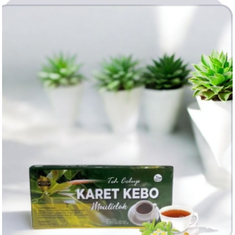 

Paket 2 teh celup daun karet kebo//Teh celup daun karet kebo isi 20 kantong teh