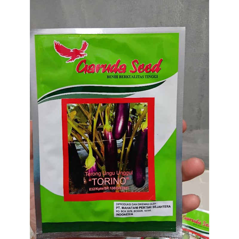 

TERONG UNGU HIBRIDA F1 " TANGGUH