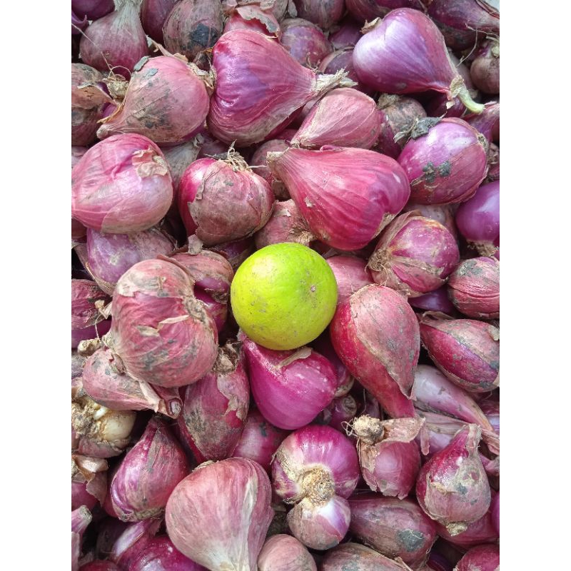 

BAWANG MERAH BREBES BESAR 1Kg