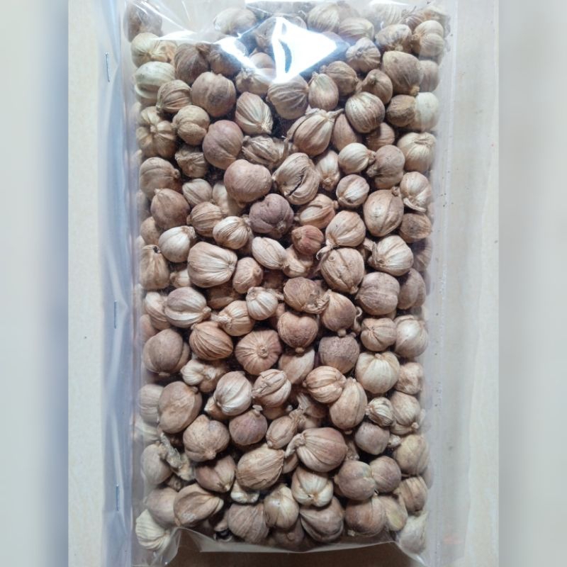 

Kapulaga Jawa Kapolaga Kering Organik