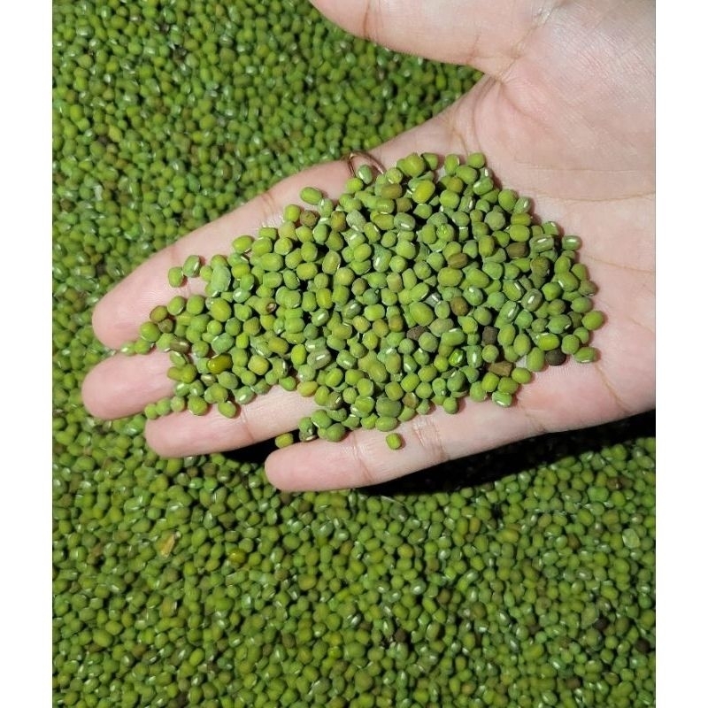 

Kacang ijo lokal 1kg