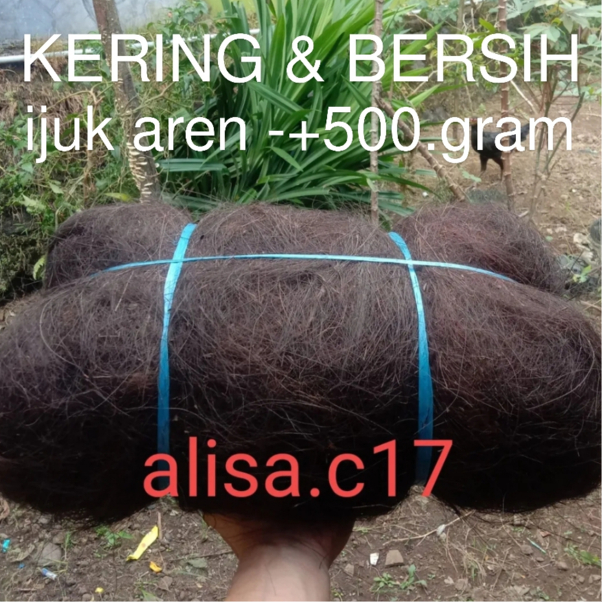 Ijuk Filter Halus Asli Kering Bersih 500 Gram Ijuk Saringan Air Ijuk Aren Bantalan Ijuk Resapan