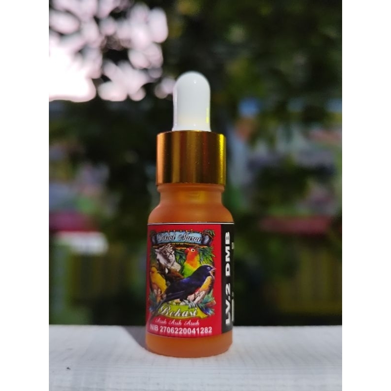 DMB LEVEL 2 (DIKLAT MURAI BEKASI)