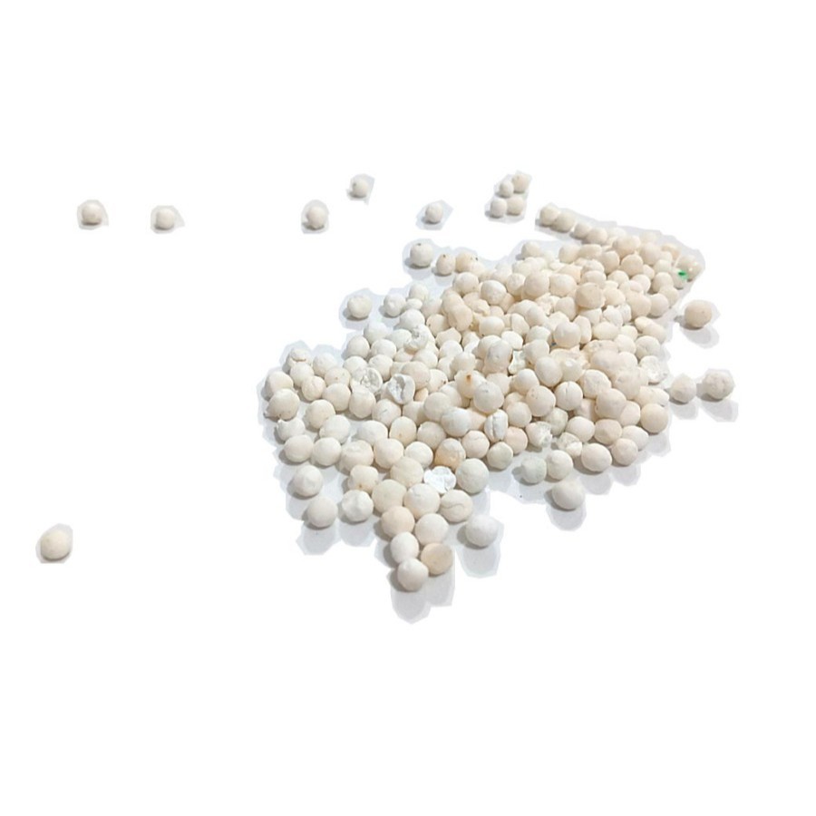 

sagu mutiara putih lokal